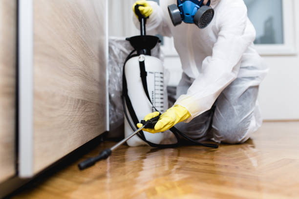 Best Wasp Removal Services  in Newark, TX