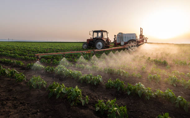Best Mosquito Control Services  in Newark, TX