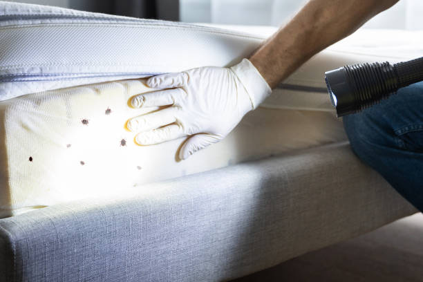 Best Pest Removal Services  in Newark, TX