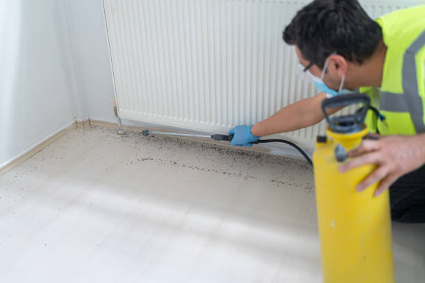Best Best Pest Control Companies  in Newark, TX