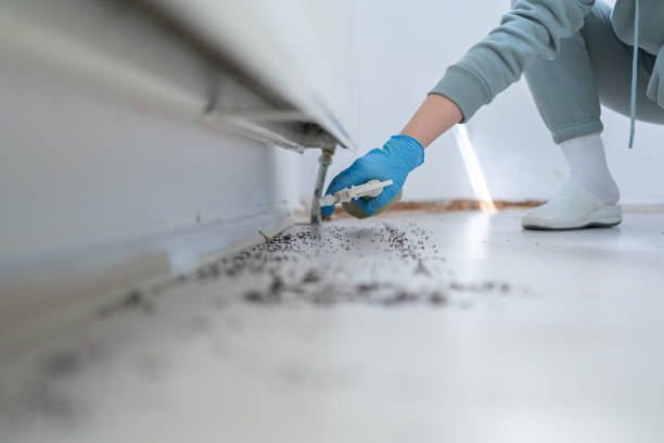Best Pest Prevention Services  in Newark, TX